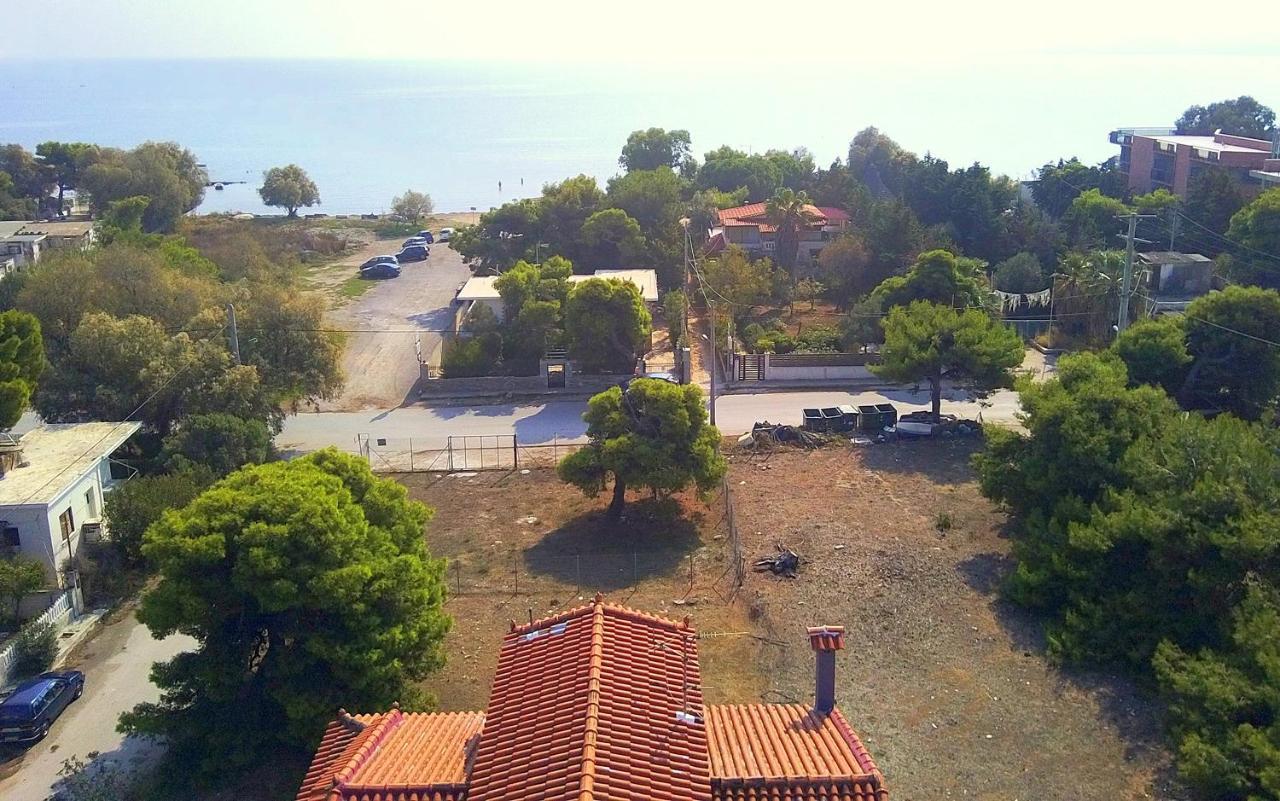 Augoustinos - Sea Side Luxury Apartments Artemida  Dış mekan fotoğraf